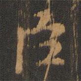 朱奇源写的楷书臣