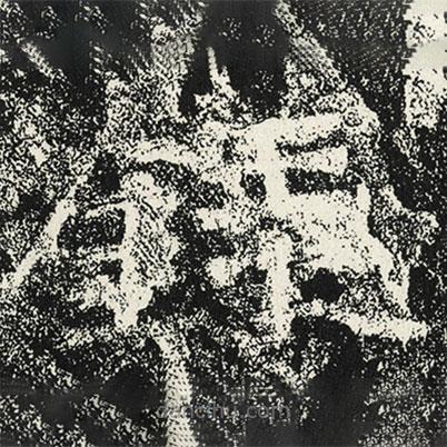 魏碑寫的楷書錄