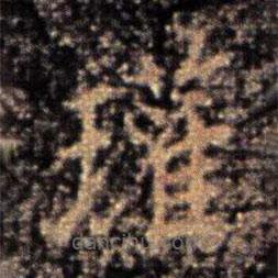 大觀帖寫的楷書瓘