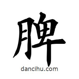 田英章写的楷书脾