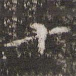 周越寫的楷書十