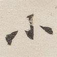 黃玄寫的楷書小