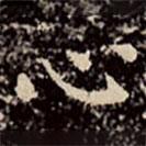 文彭写的楷书心