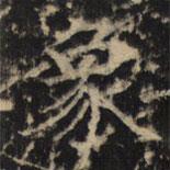 豳州昭仁寺碑寫的楷書象