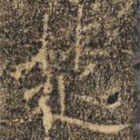 褚遂良寫(xiě)的楷書(shū)楚
