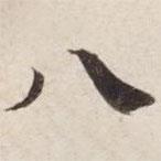 碣石调幽兰第五写的楷书八