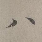 赵孟頫写的楷书八