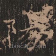 史晨前后碑清末拓本寫的楷書陽