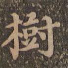 沈度寫的楷書樹