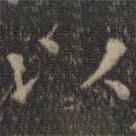 停云馆法帖写的楷书以