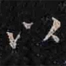 褚遂良寫的楷書以