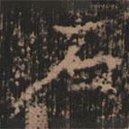 史晨前后碑清末拓本寫的楷書石