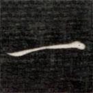 成親王寫的楷書一