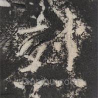 太公吕望碑写的楷书烈