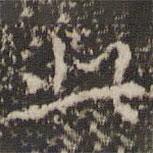 陸世韶寫的楷書此