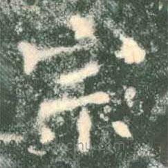 褚遂良寫的楷書宗