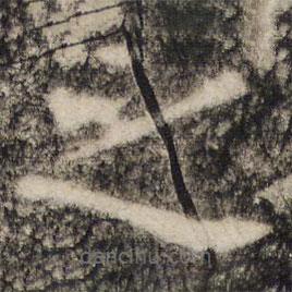 张公礼写的楷书之