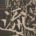 趙孟頫寫的楷書流