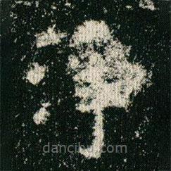 欧阳询写的楷书净