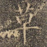 褚遂良写的楷书草