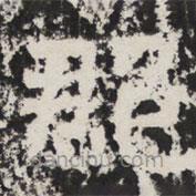 太公呂望碑寫的楷書郡