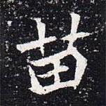 魏碑寫的楷書苗