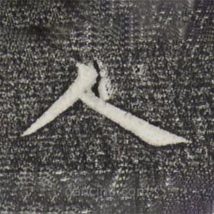 张雨写的楷书人