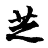 趙之謙寫的楷書芝