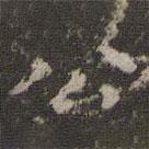 祝允明寫的楷書公