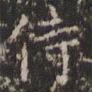 祝允明写的楷书侍