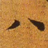 赵孟頫写的楷书八