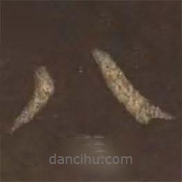 颜真卿写的楷书八