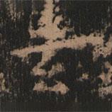 史晨前后碑清末拓本寫的楷書玄