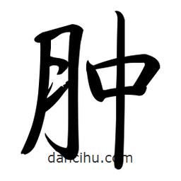 啟功寫的楷書腫