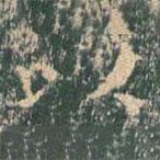 王玄宗写的楷书以