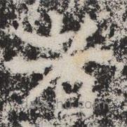 晖福寺碑写的楷书者