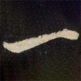 张照写的楷书一