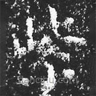 宋徽宗寫(xiě)的楷書(shū)紫