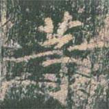 王玄宗写的楷书等