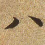 赵孟頫写的楷书八