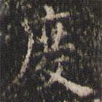 吳廷寫(xiě)的楷書(shū)度