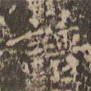 文嘉寫(xiě)的楷書(shū)譜