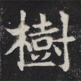 敬史君之碑写的楷书樹