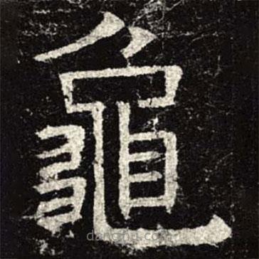 龜書(shū)法圖片