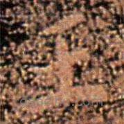 大观帖写的楷书王