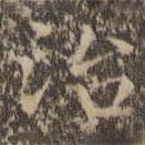 揭傒斯写的楷书治