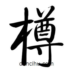 啟功寫的楷書樽