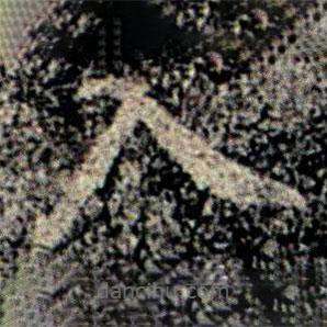 智果寫的楷書入