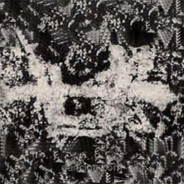 魏碑寫的楷書廿