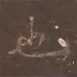 巩嵘写的楷书也